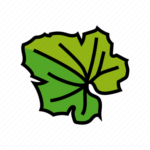 Leaf, melon, cantaloupe, yellow, fruit, green icon - Download on Iconfinder