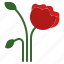 poppy, flower, red, memorial, day, military, poppyseed 