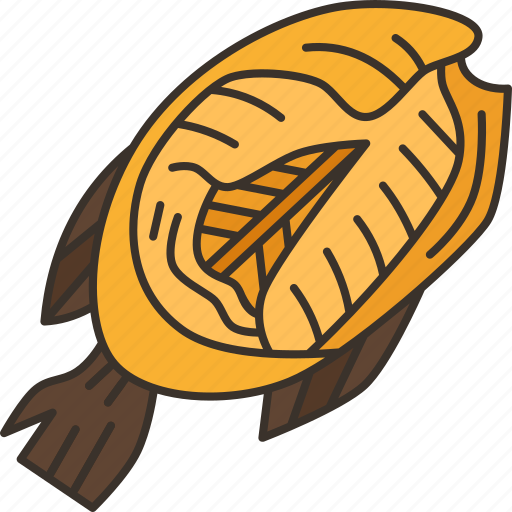 Fish, stirred, food, gourmet, mexican icon - Download on Iconfinder