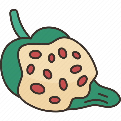 Nogada, pepper, stuffed, chili, mexican icon - Download on Iconfinder