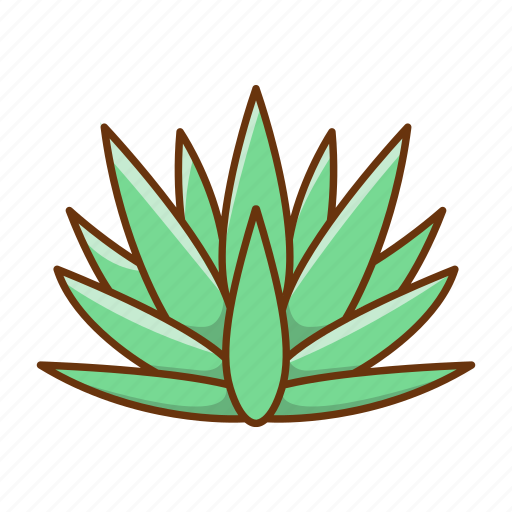 Agave, plant, aloe vera icon - Download on Iconfinder