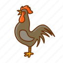 rooster, gallo, chicken