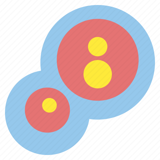 Cell division, microbiology, science, healthcare, medical, laboratory icon - Download on Iconfinder