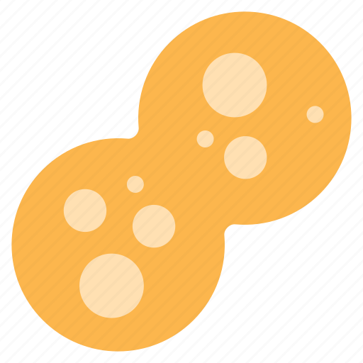 Mitosis icon Download on Iconfinder on Iconfinder