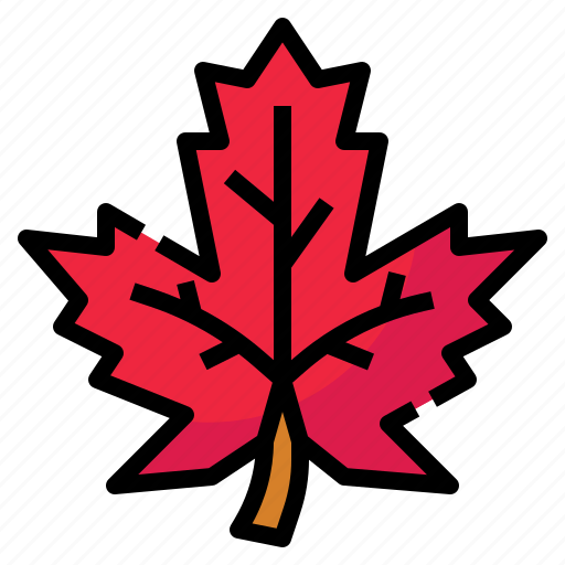 Maple, leaf, autumn, nature, yellow, botanical, plant icon - Download on Iconfinder