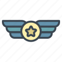 badge, medal, military 