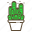 cactus, plant, pot, succulent 