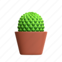 cactus, mini cactus, cactus plant, desert plant, house plant, decorative plant, green plant, cactus bloom, flora 