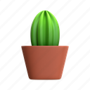 cactus, mini cactus, cactus plant, desert plant, house plant, decorative plant, green plant, cactus bloom, flora