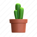 cactus, mini cactus, cactus plant, desert plant, house plant, decorative plant, green plant, cactus bloom, plant 