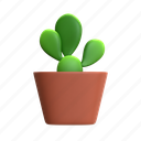 cactus, mini cactus, cactus plant, desert plant, house plant, decorative plant, green plant, cactus bloom, plant