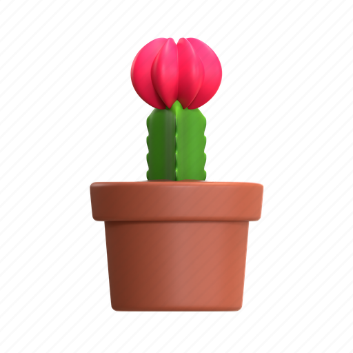 Cactus, mini cactus, cactus plant, desert plant, house plant, decorative plant, green plant 3D illustration - Download on Iconfinder
