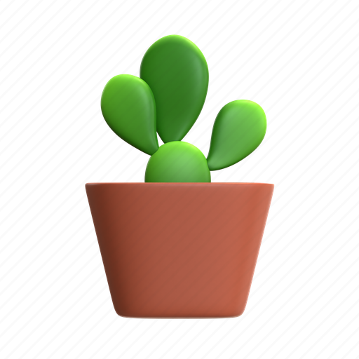 Cactus, mini cactus, cactus plant, desert plant, house plant, decorative plant, green plant 3D illustration - Download on Iconfinder