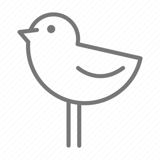 Abstract, bird, legs, ckick icon - Download on Iconfinder