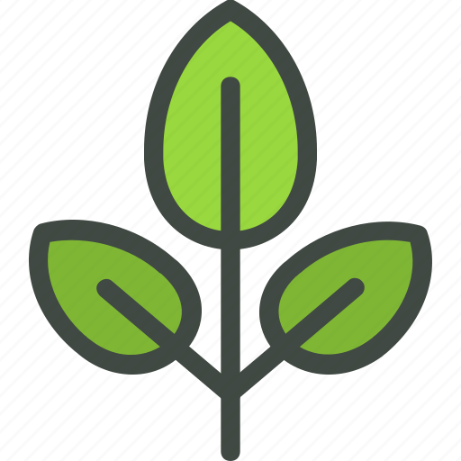 Leaf, nature, ecology, botany, biology icon - Download on Iconfinder