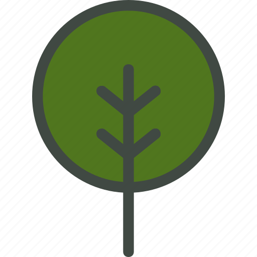 Alder, leaf, nature, ecology, botany, biology icon - Download on Iconfinder
