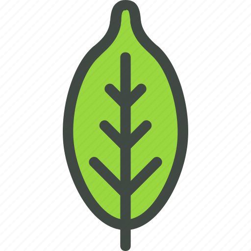 Apple, leaf, nature, ecology, botany, biology icon - Download on Iconfinder