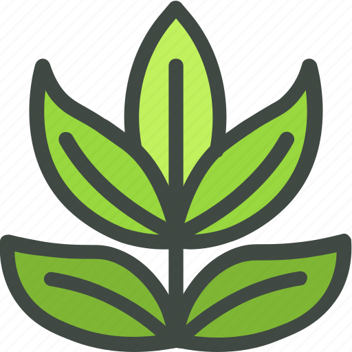 Ash, leaves, leaf, nature, ecology, botany, biology icon - Download on Iconfinder