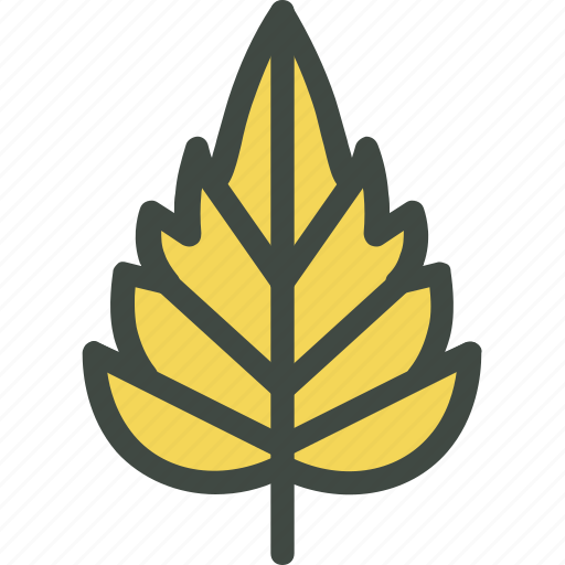 Birch, leaf, nature, ecology, botany, biology icon - Download on Iconfinder