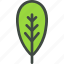 blackthorn, leaf, nature, ecology, botany, biology 