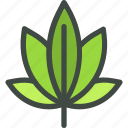 cannabis, marijuanas, leaf, nature, ecology, botany, biology 