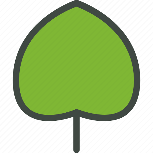 Cercis, leaf, nature, ecology, botany, biology icon - Download on Iconfinder