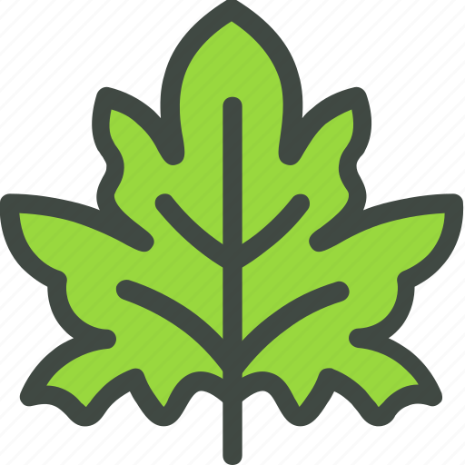 Cucumber, leaf, nature, ecology, botany, biology icon - Download on Iconfinder