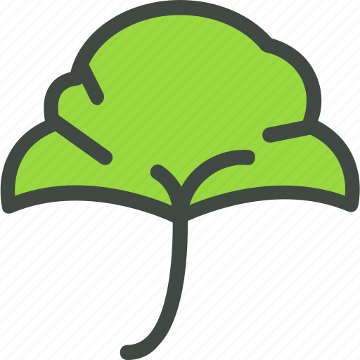 Ginkgo, leaf, nature, ecology, botany, biology icon - Download on Iconfinder