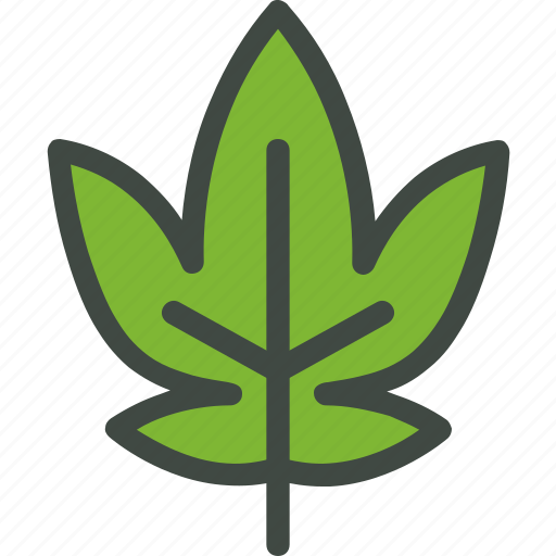 Grape, leaf, nature, ecology, botany, biology icon - Download on Iconfinder