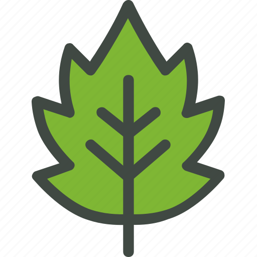 Hawthron, leaf, nature, ecology, botany, biology icon - Download on Iconfinder