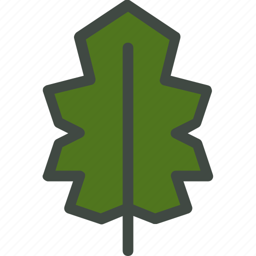 Holly, leaf, nature, ecology, botany, biology icon - Download on Iconfinder