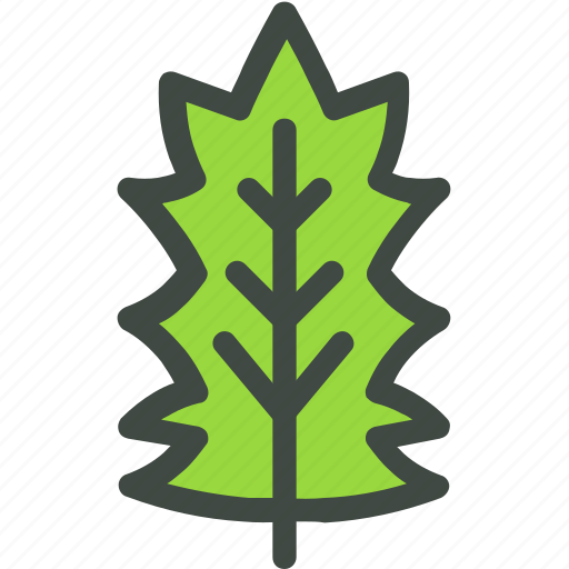 Holly, leaf, nature, ecology, botany, biology icon - Download on Iconfinder