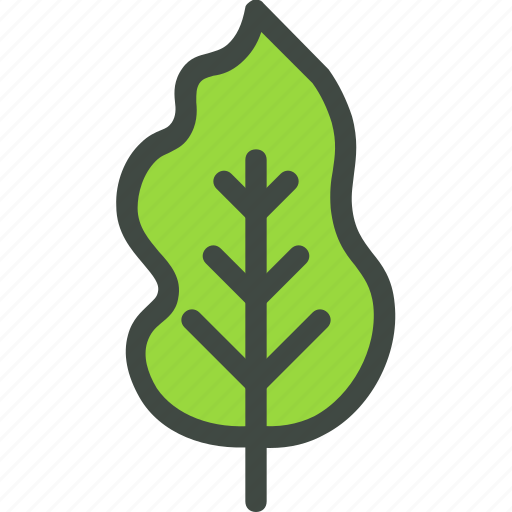 Lemon, leaf, nature, ecology, botany, biology icon - Download on Iconfinder