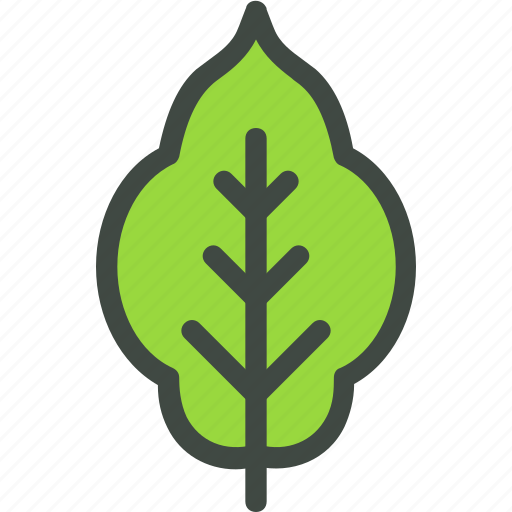Potato, leaf, nature, ecology, botany, biology icon - Download on Iconfinder