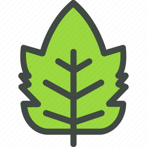 Raspberry, leaf, nature, ecology, botany, biology icon - Download on Iconfinder