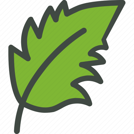 Redhaw, wathorn, hawthorn, leaf, nature, ecology, botany icon - Download on Iconfinder