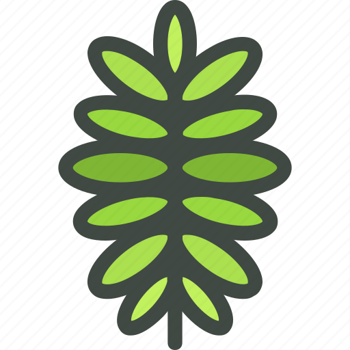 Rowan, leaves, leaf, nature, ecology, botany, biology icon - Download on Iconfinder