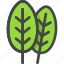 spinach, leaves, leaf, nature, ecology, botany, biology 