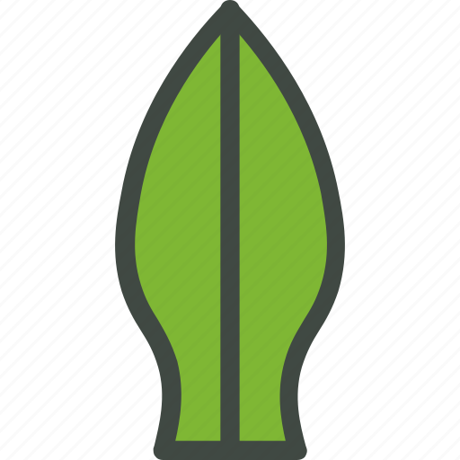 Tulip, leaf, nature, ecology, botany, biology icon - Download on Iconfinder