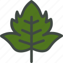 viburnum, leaf, nature, ecology, botany, biology