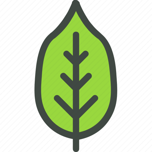 Wild, cherry, leaf, nature, ecology, botany, biology icon - Download on Iconfinder