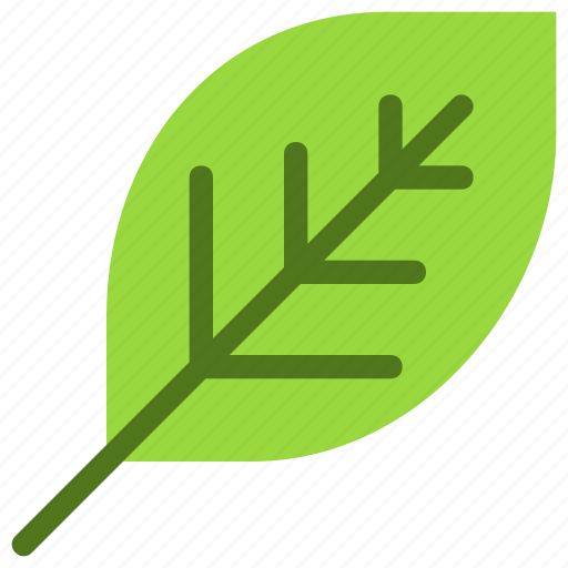 Leaf, nature, ecology, botany, biology icon - Download on Iconfinder