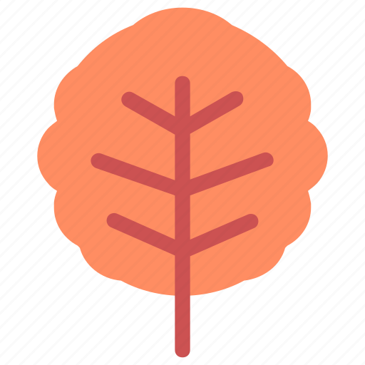 Alder, leaf, nature, ecology, botany, biology icon - Download on Iconfinder