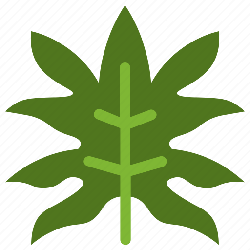 Aralia, leaf, nature, ecology, botany, biology icon - Download on Iconfinder