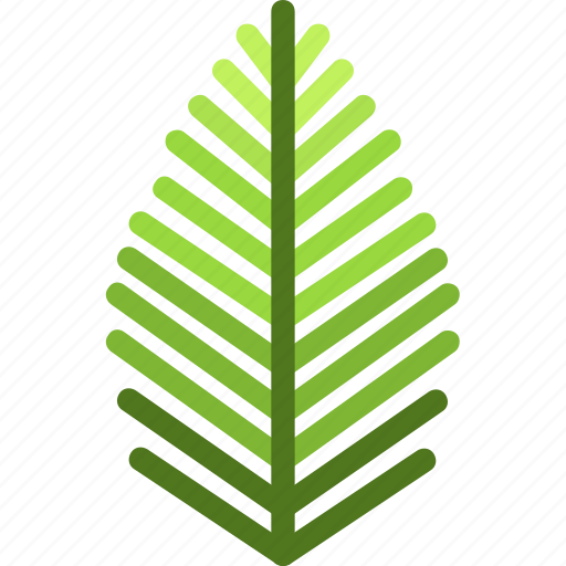 Areca, palm, coconut, leaf, nature, ecology, botany icon - Download on Iconfinder