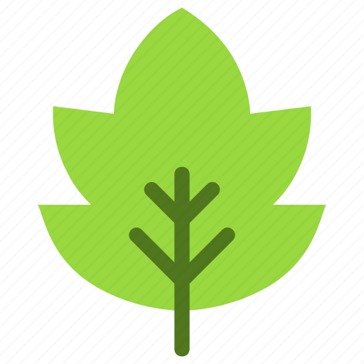 Ashleaf, maple, leaf, nature, ecology, botany, biology icon - Download on Iconfinder