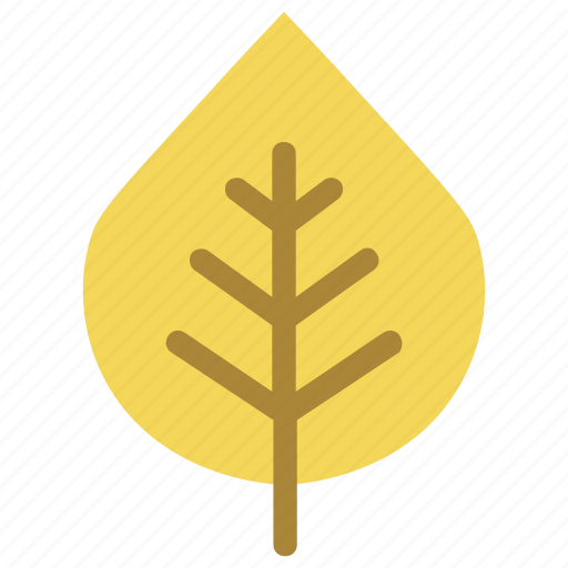 Aspen, leaf, nature, ecology, botany, biology icon - Download on Iconfinder