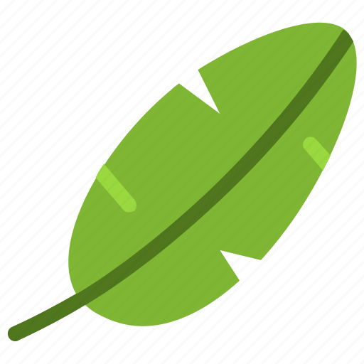 Banana, leaf, nature, ecology, botany, biology icon - Download on Iconfinder