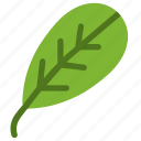blackthorn, leaf, nature, ecology, botany, biology 