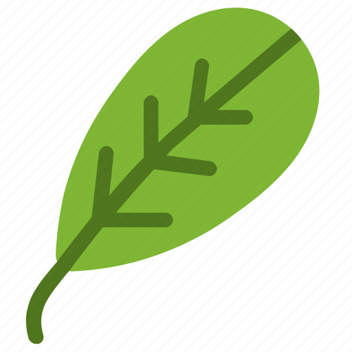 Blackthorn, leaf, nature, ecology, botany, biology icon - Download on Iconfinder